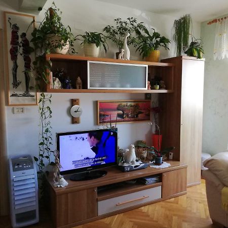 Cuore di Umago Esterno foto