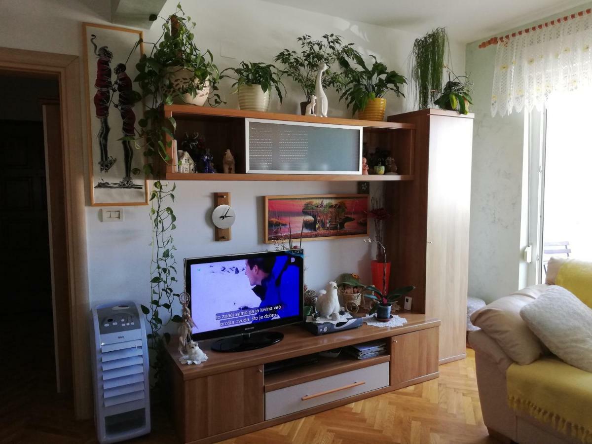 Cuore di Umago Esterno foto